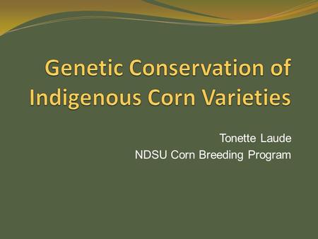 Tonette Laude NDSU Corn Breeding Program. Rationale Indigenous corn varieties consist of heterogeneous population. Preservation of indigenous varieties.