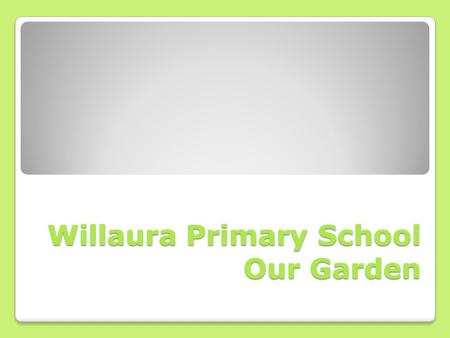 Willaura Primary School Our Garden. Willaura Primary School has always had teachers, parents and students interested in gardening. But by mid-2011 our.