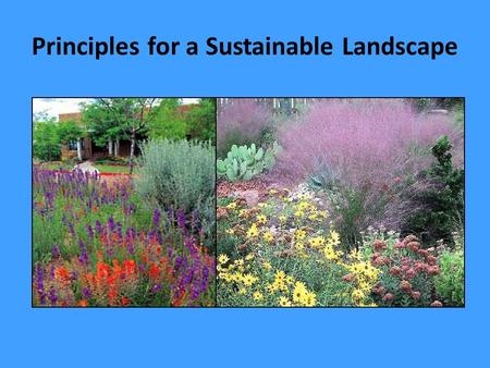 Principles for a Sustainable Landscape. Water-Efficient Landscaping is a Major Component of Sustainable Landscaping which: “meets the needs of today’s.