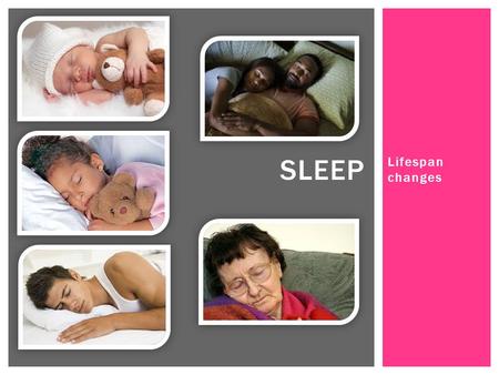 Lifespan changes SLEEP.  You have five minutes to discuss the study with your group.  What did they do?  What did they find?  How does this relate.