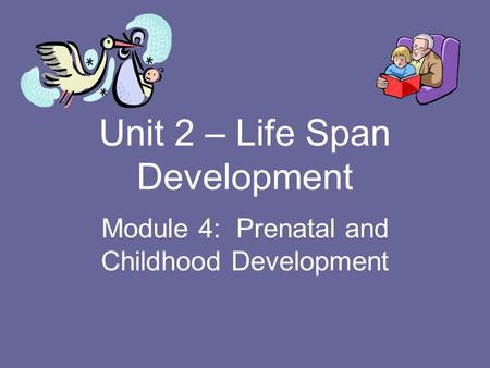 Unit 2 – Life Span Development