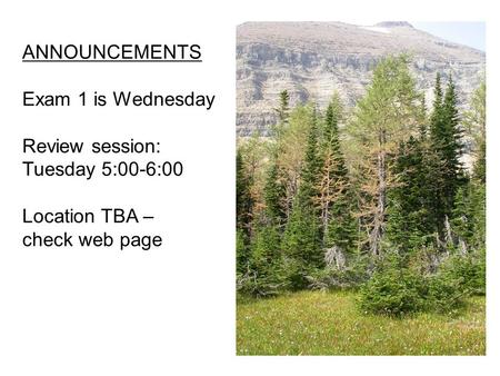 ANNOUNCEMENTS Exam 1 is Wednesday Review session: Tuesday 5:00-6:00 Location TBA – check web page.