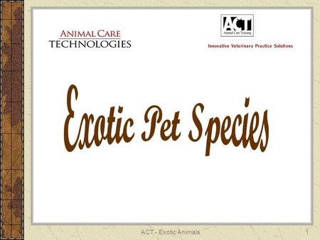 ACT - Exotic Animals1. 2 Exotic Pets Exotic animals are often defined as any species of animal that is not considered to be a common pet (companion animal)