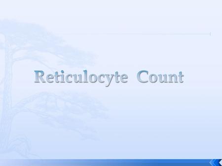 Reticulocyte Count.