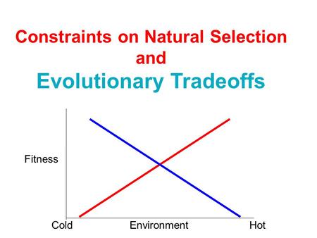 Constraints on Natural Selection Evolutionary Tradeoffs