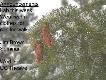 Announcements Lab this week: Wear warm clothes for conifer walk Jim Brown Seminar Wed. 9 th UC Theatre.