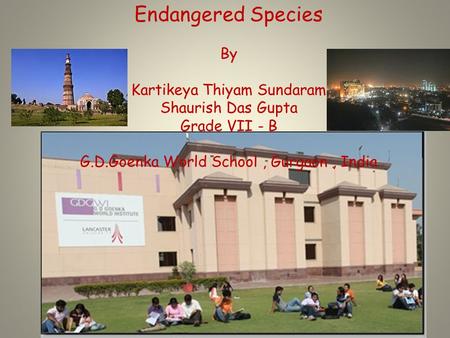 Endangered Species By Kartikeya Thiyam Sundaram Shaurish Das Gupta Grade VII - B G.D.Goenka World School, Gurgaon, India.