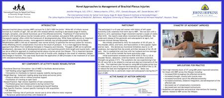 Novel Approaches to Management of Brachial Plexus Injuries Jennifer Wingrat, ScD, OTR/L 1, Rebecca Martin, OTR/L, OTD 1, Glenaliz Bosques, MD 3, Daniel.