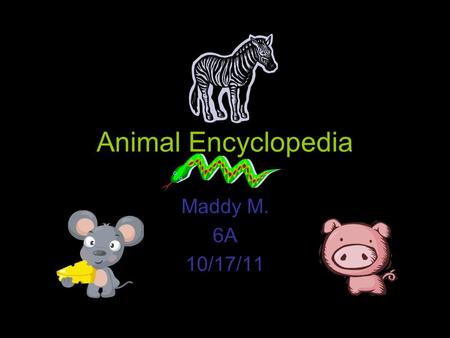 Animal Encyclopedia Maddy M. 6A 10/17/11. Table of Contents Cuban Screech OwlCuban Screech Owl Snowshoe Hare Bactrian Camels Red-Eyed Tree Frog Atlantic.