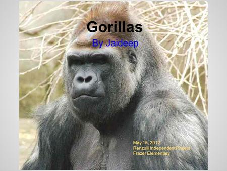 Gorillas By Jaideep May 15, 2012 Renzulli Independent Project