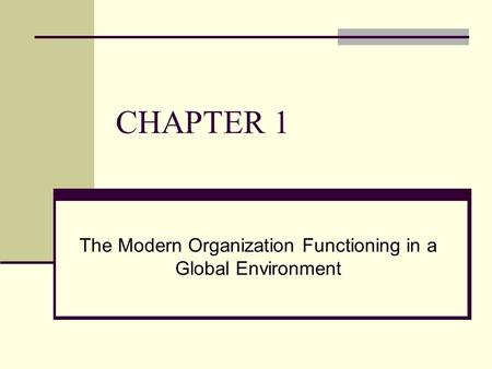 The Modern Organization Functioning in a Global Environment