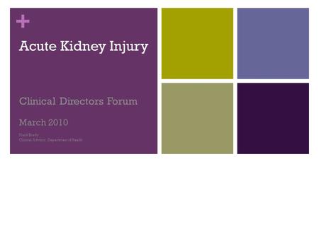 + Acute Kidney Injury Clinical Directors Forum March 2010 Mark Brady Clinical Advisor, Department of Health.