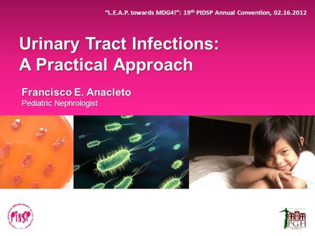 Urinary Tract Infections: A Practical Approach