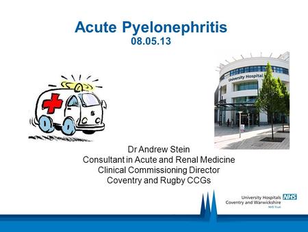 Acute Pyelonephritis 08.05.13 Dr Andrew Stein Consultant in Acute and Renal Medicine Clinical Commissioning Director Coventry and Rugby CCGs.