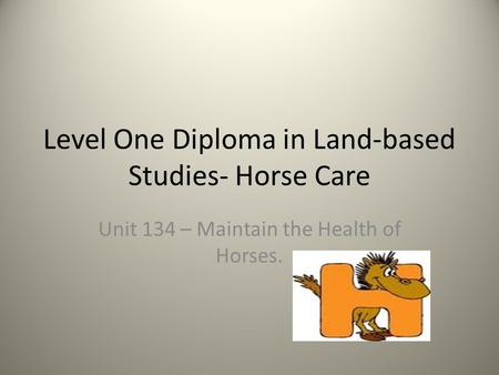 Level One Diploma in Land-based Studies- Horse Care Unit 134 – Maintain the Health of Horses.