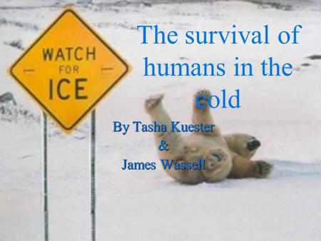 By Tasha Kuester & James Wassell The survival of humans in the cold.