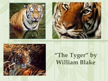 “The Tyger” by William Blake