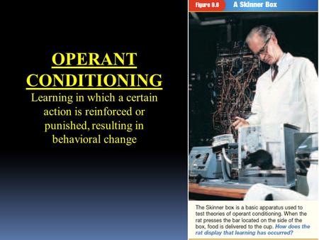 OPERANT CONDITIONING Learning in which a certain action is reinforced or punished, resulting in behavioral change.