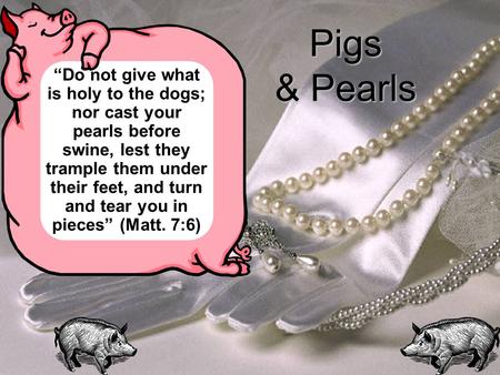 Pigs & Pearls “Do not give what is holy to the dogs; nor cast your pearls before swine, lest they trample them under their feet, and turn and tear you.
