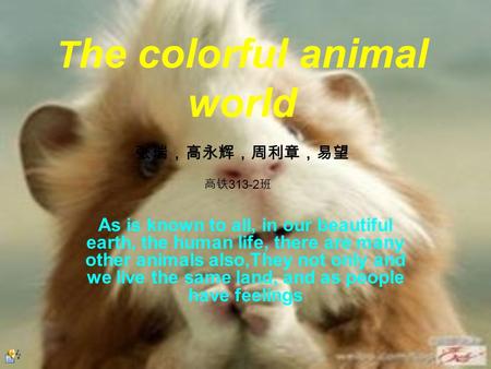 T he colorful animal world As is known to all, in our beautiful earth, the human life, there are many other animals also,They not only and we live the.