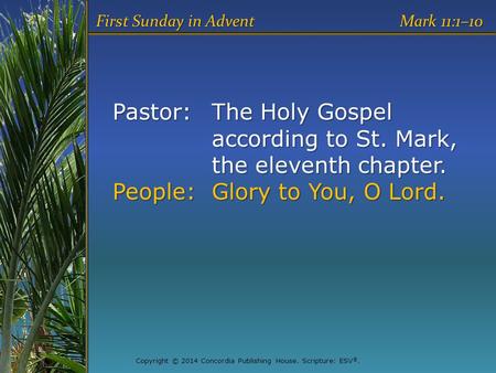 Pastor:The Holy Gospel according to St. Mark, the eleventh chapter. People:Glory to You, O Lord. First Sunday in Advent Mark 11:1–10 Copyright © 2014 Concordia.
