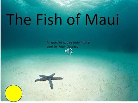The Fish of Maui Adapted by Louise Judd from a book by Peter Gossage.