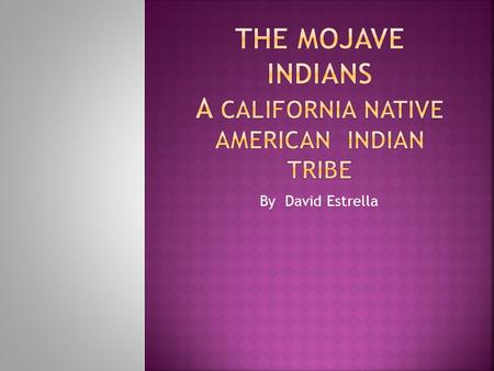 The Mojave Indians A California native American indian tribe
