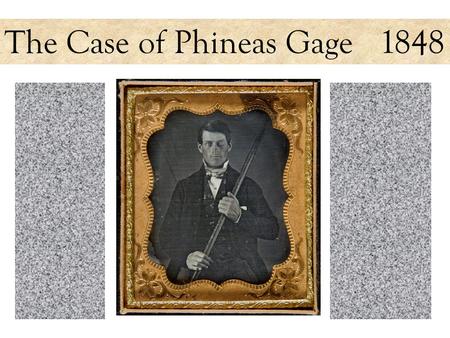 The Case of Phineas Gage 1848. On or near this site in Cavendish, Vermont, workers were using black powder to break up the rock of this railroad embankment.