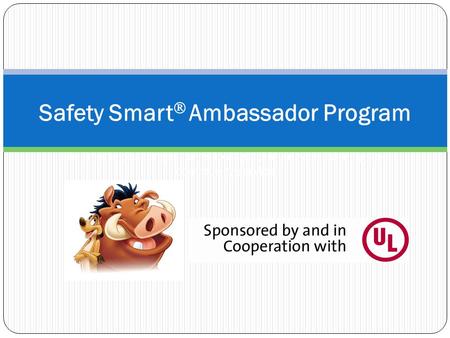 Safety Smart  Ambassador Program LifeSmarts challenges teens to engage in service learning and community service.
