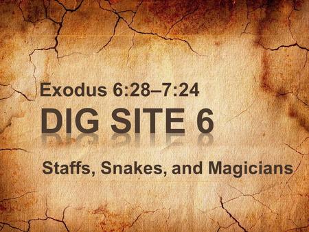 Exodus 6:28–7:24 Staffs, Snakes, and Magicians.