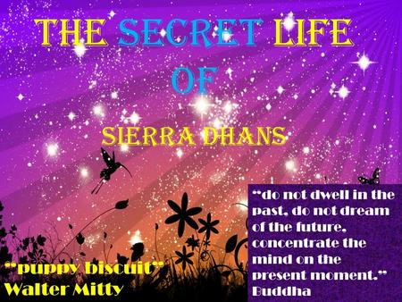 The Secret Life of Sierra Dhans “puppy biscuit” Walter Mitty “do not dwell in the past, do not dream of the future, concentrate the mind on the present.