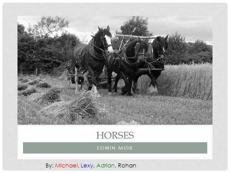 EDWIN MUIR HORSES By: Michael, Lexy, Adrian, Rohan.