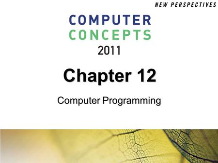Chapter 12 Computer Programming.