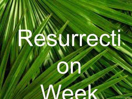 Resurrecti on Week. John 12:12-19 Blessed To be Happy.