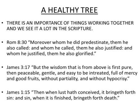 A HEALTHY TREE THERE IS AN IMPORTANCE OF THINGS WORKING TOGETHER AND WE SEE IT A LOT IN THE SCRIPTURE. Rom 8:30 “Moreover whom he did predestinate, them.