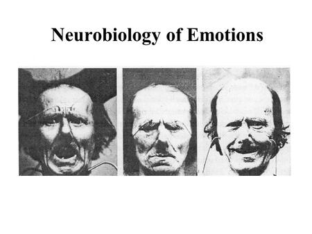 Neurobiology of Emotions. The Main Camps 1. Basic emotions: The categorical approach 2. Biological pieces of emotions: The Componential approach 3. Societies.