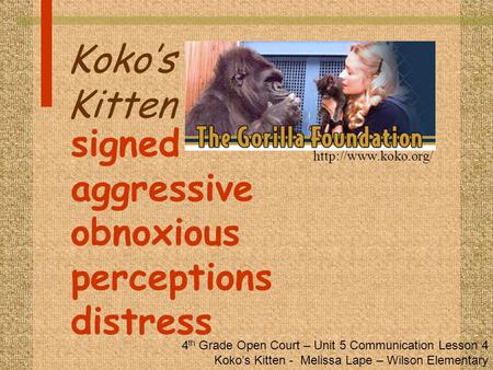Koko’s Kitten signed aggressive obnoxious perceptions distress