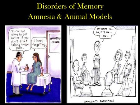 Disorders of Memory Amnesia & Animal Models