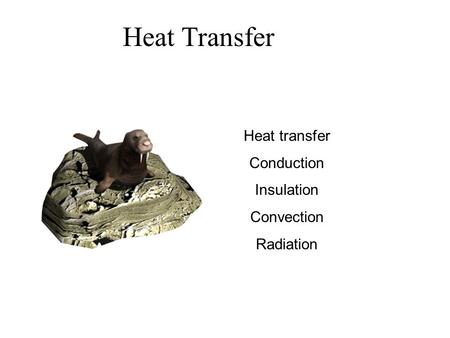 Heat Transfer Heat transfer Conduction Insulation Convection Radiation.