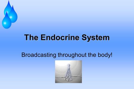The Endocrine System Broadcasting throughout the body!