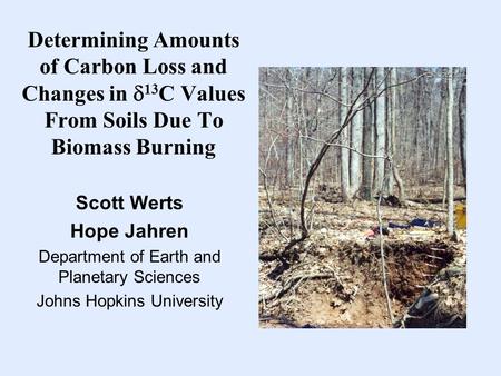Determining Amounts of Carbon Loss and Changes in  13 C Values From Soils Due To Biomass Burning Scott Werts Hope Jahren Department of Earth and Planetary.