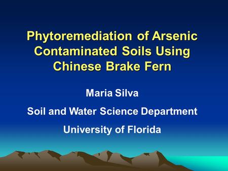 Phytoremediation of Arsenic Contaminated Soils Using Chinese Brake Fern Maria Silva Soil and Water Science Department University of Florida.