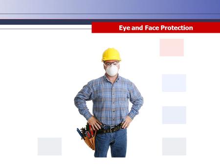 Eye and Face Protection. Disclaimer This training material presents very important information. Your organization must do an evaluation of all exposures,