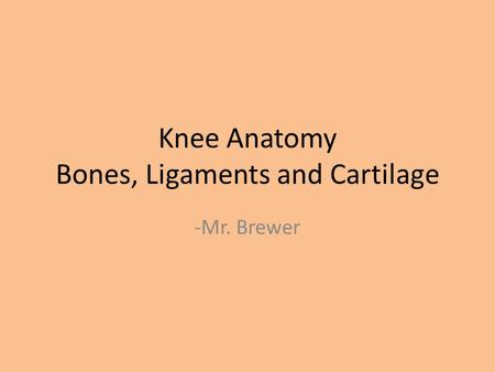 Knee Anatomy Bones, Ligaments and Cartilage