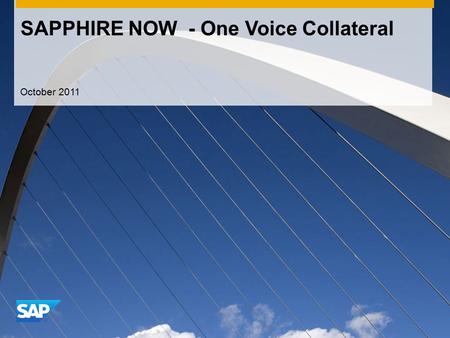 SAPPHIRE NOW - One Voice Collateral October 2011.