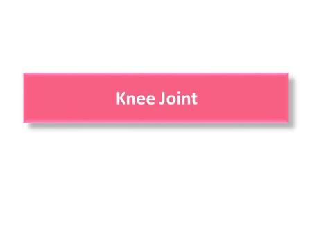 Knee Joint.