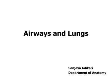 Airways and Lungs Sanjaya Adikari Department of Anatomy.