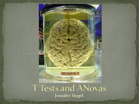 Jennifer Siegel. Statistical background Z-Test T-Test Anovas.