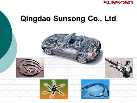 Qingdao Sunsong Co., Ltd.