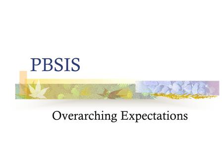PBSIS Overarching Expectations. Hallway Expectations.